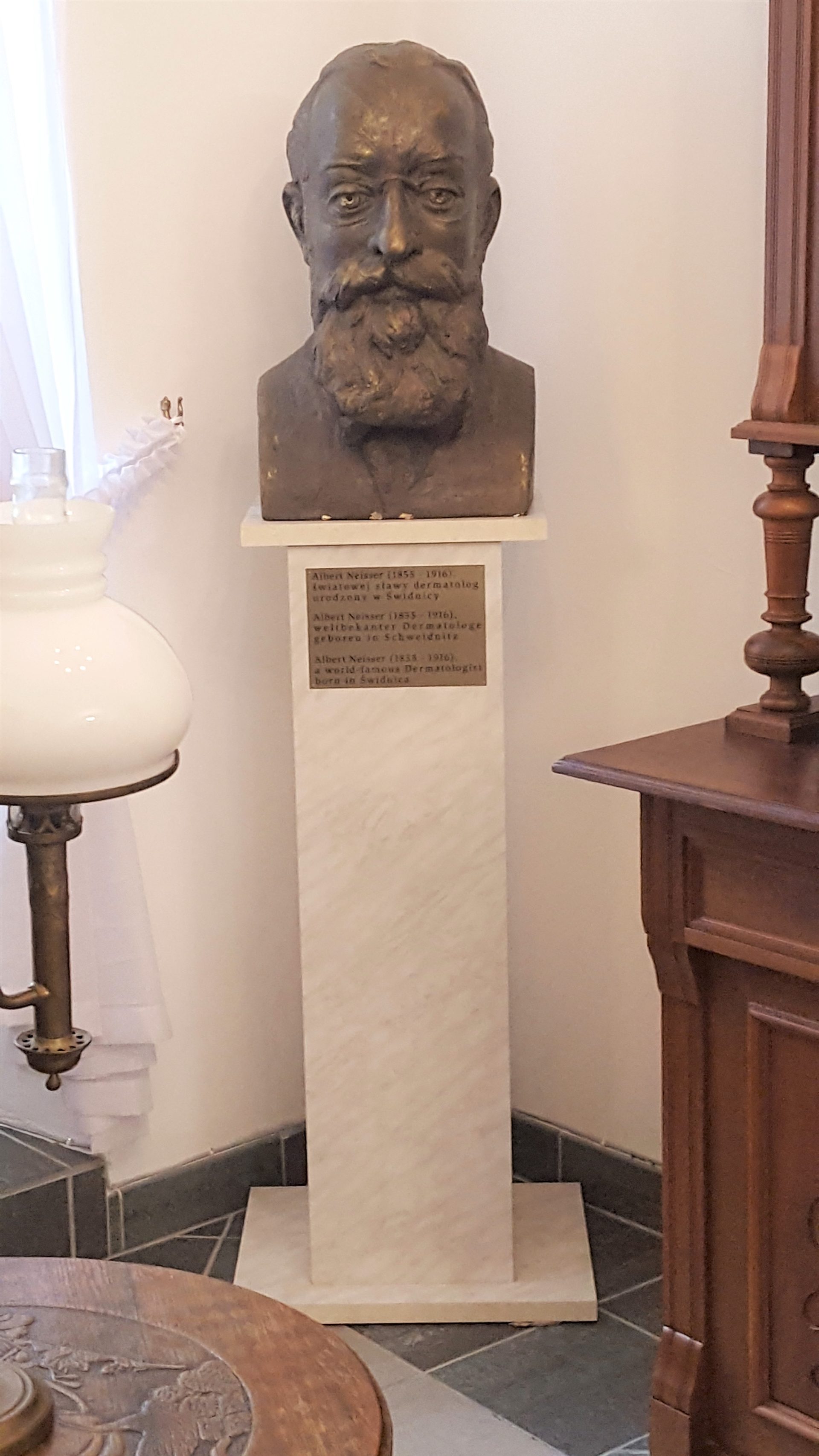 Albert Neisser's bust, Swidnica (by Magdalena Mazurak) (3).jpg